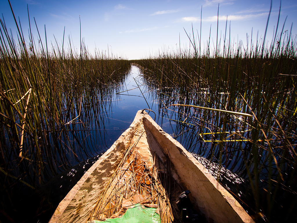 comment se rendre au botswana