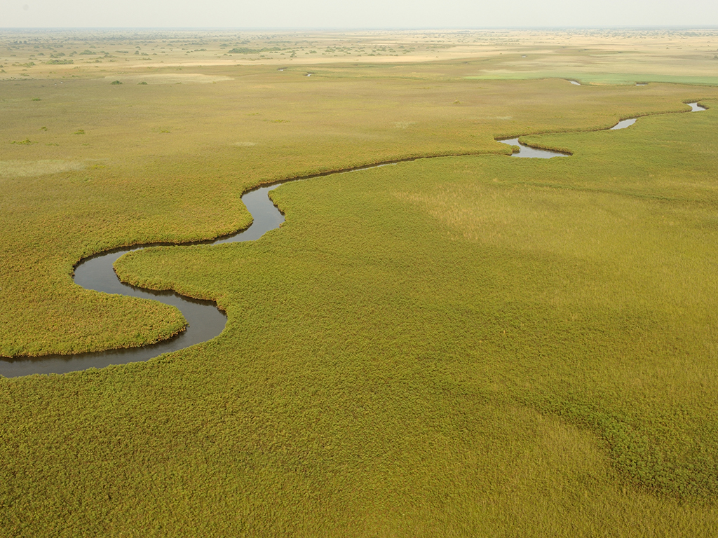 partir au botswana