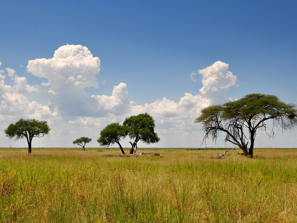 quand aller au botswana