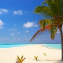 Que faire en Guadeloupe lors de votre séjour