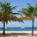 Destination Martinique