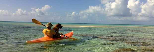 L’archipel des Tuamotu, des paysages de rêve encore inexplorés