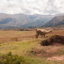 Le Pérou, une destination addictive