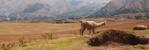 Le Pérou, une destination addictive