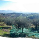 Travailler et Etudier en Working Holiday