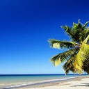 Martinique : partir à la découverte d’un riche patrimoine