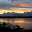 Les parcs nationaux sénégalais : joyaux d’Afrique de l’Ouest