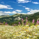 Top 3 pour bien préparer les vacances