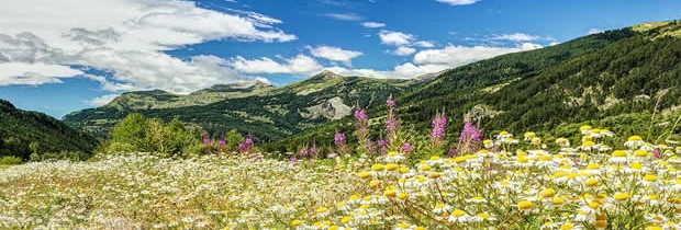 Top 3 pour bien préparer les vacances