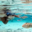 Interview de Bruno Fabre du site Tahaa.net