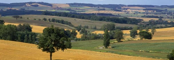 Voyage à travers les Régions