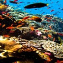 Quel spot de plongée choisir pour un séjour de plongée inoubliable à Bali ?