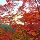 Deux temples, deux histoires…