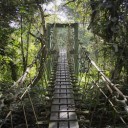 Visiter les parcs en Malaisie: une expérience unique et variée