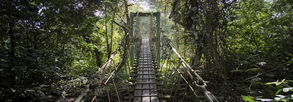 Visiter les parcs en Malaisie: une expérience unique et variée