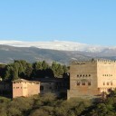 Les bonnes raisons de vous rendre en Andalousie