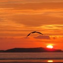 La cité des Alyzés accueille le festival gnaoua