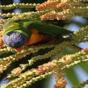 Nos expressions australiennes préférées