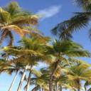 Visiter la Guadeloupe en famille