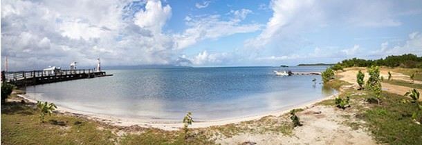 Plongée en Guadeloupe, une expérience inoubliable