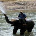 Les 5 meilleures activités à faire en Chiang Mai