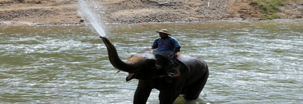 Les 5 meilleures activités à faire en Chiang Mai