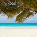 5 choses que vous devez absolument faire aux Caraïbes