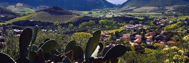 La Corse : paradis méditerranéen pour les vacances