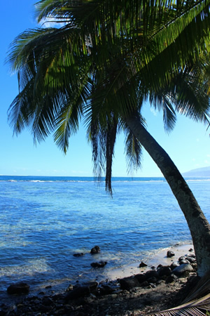 tahiti - moorea