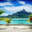 Les saveurs de la Polynésie : le thon cru au lait de coco