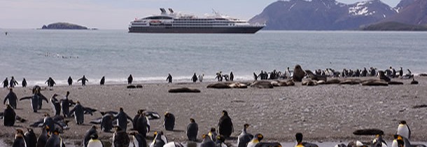 L’Antarctique : une destination exceptionnelle à découvrir