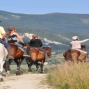 La préparation d’une randonnée équestre