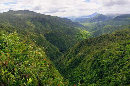 Parc National des Gorges de la Rivière Noire