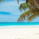 Préparez votre voyage pour les vacances !