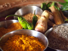 cuisine inde 1