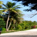 À la découverte de Vanuatu