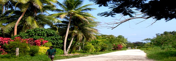 À la découverte de Vanuatu