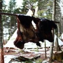 Canada : Manawan, Une flèche en plein cœur