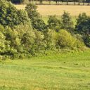 Culture et grand air dans le Calvados