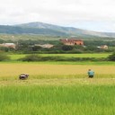 Interview Franck Parienti