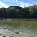 Top 5 des choses à faire à Munich