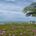 Quelques idées pour parfaire votre séjour à Saint-Martin