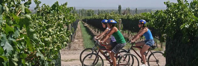 L’œnotourisme en France