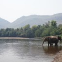 Les risques à prendre en compte lors d’un voyage en Asie