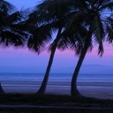 Votre voyage en Australie avec le Working Holiday Visa (WHV)