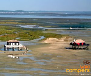 Bassin d'Arcachon-2