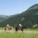 Bien préparer une randonnée équestre