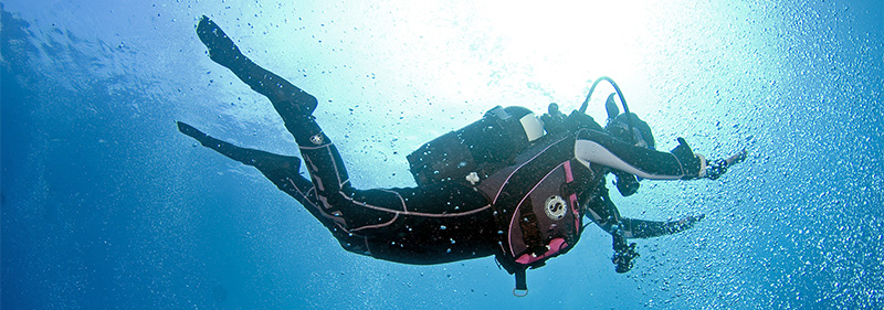 plongée-sous-marine-en-bretagne