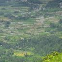 Comment bien voyager avec son chien en été ?