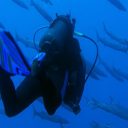 Plonger à Bormes les Mimosas pendant les vacances d’été